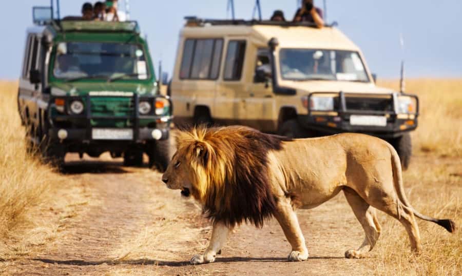 Full Day Hluhluwe Imfolozi Game Reserve Tour from Durban - Why Hluhluwe Imfolozi is the Big Five stop near Durban