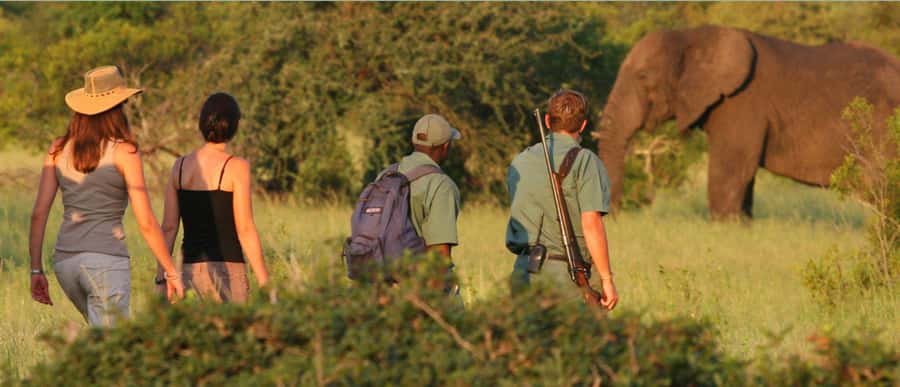 Full Day Hluhluwe Imfolozi Game Reserve Tour from Durban - Animals you’re more likely to enjoy seeing up close