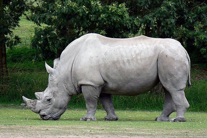 Full Day Isimangaliso Wetlands Park -Croc & Hippo &Game Fr Durban - Price and Value: What You Pay for a Full Day