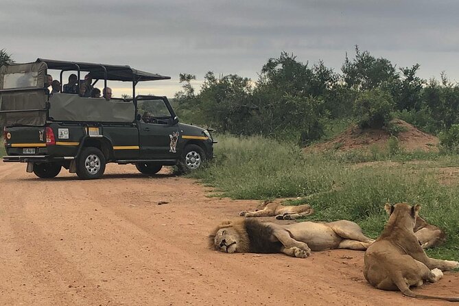 Full Day Kruger National Park Game Drive - Key things to know before you go