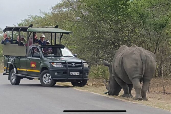 Full Day Kruger National Park Game Drive - Stop 2: Discover Tours stop (biomes and a tighter “why”)