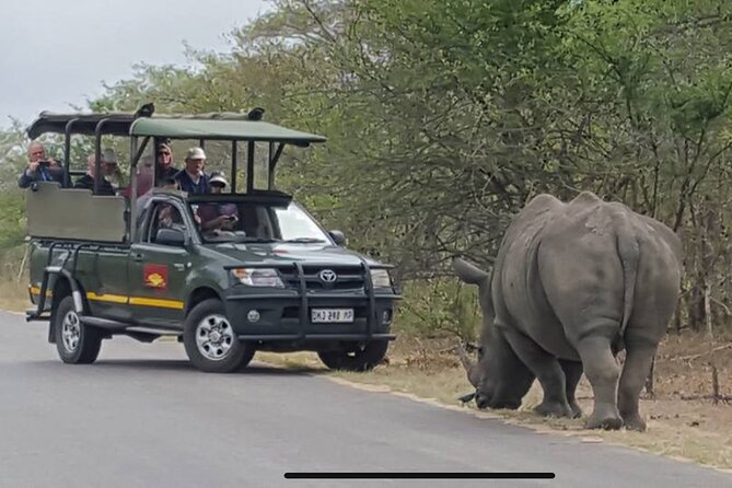 Full Day Kruger National Park Game Drive - What timing and duration feel like in the real world