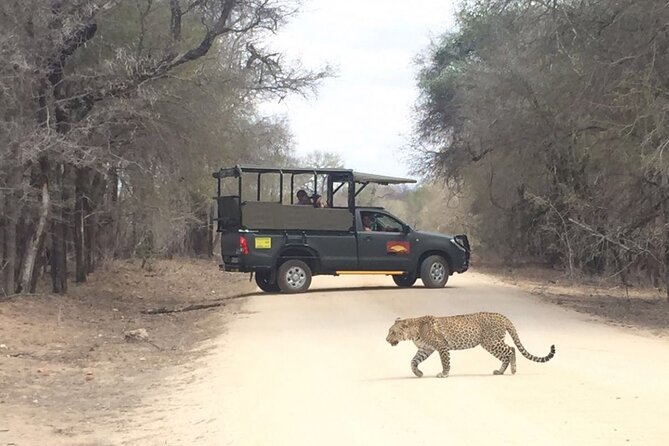 Full Day Kruger National Park Game Drive - Pickup, tickets, and day-of flow that keep things simple