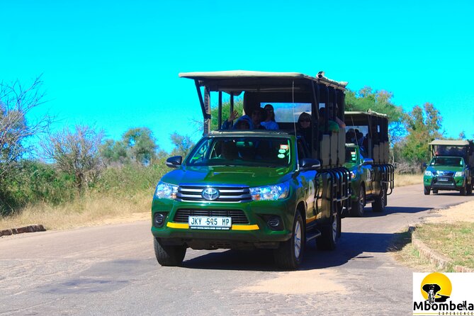 Full-Day Kruger Park Safari from Nelspruit, Whiteriver or Hazyview - The day’s timing: early departure and a sundown return