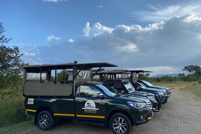 Full-Day Kruger Park Safari from Nelspruit, Whiteriver or Hazyview - Price and value: what $112.49 really covers