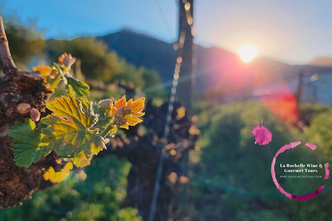 Full Day Mystery Tour - A 7-hour mystery day in Franschhoek, built around pairings