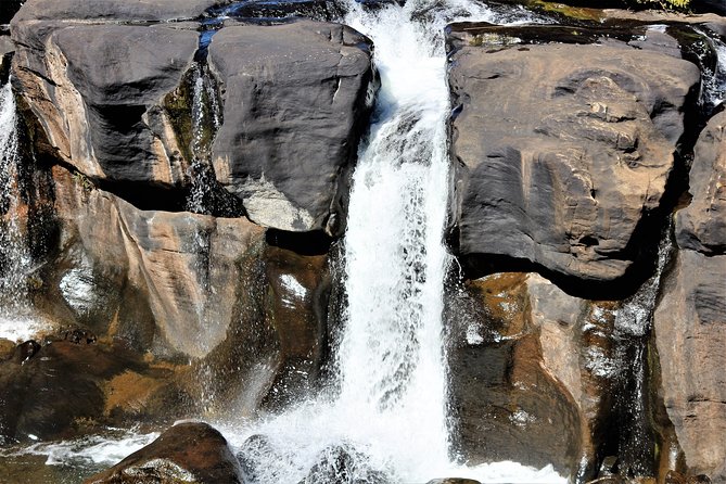 Full Day Panorama Guided Tour from Hazyview - The canyon edge: God’s Window and Wonderview viewpoints