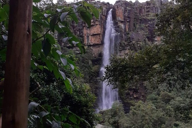 Full Day Panorama Hike and Scenic Tour minimum 2 people - Stop 4: Blyde River Canyon Nature Reserve, viewpoint walking for big-scale scenery
