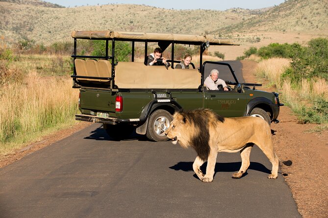 Full Day Pilanesberg Experience in Open Vehicle - Lunch in the Park: A Break That Keeps the Afternoon Working