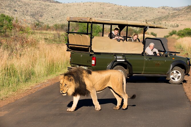 Full Day Pilanesberg Experience in Open Vehicle - What’s Included, What Costs Extra, and Where the Value Lands