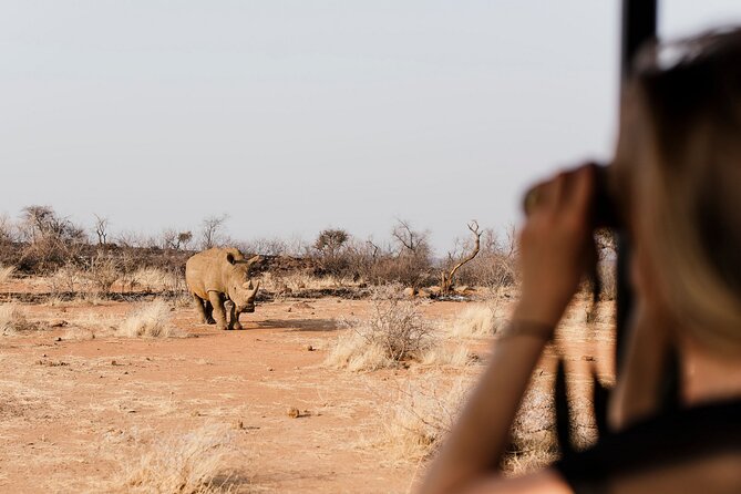 Full Day Pilanesberg Safari Adventure - Key Things That Make This Pilanesberg Safari Work