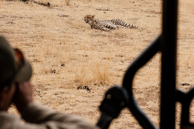 Full Day Pilanesberg Safari Adventure - The Afternoon Open-Vehicle Drive (1.5 to 2 Hours): Second Chances
