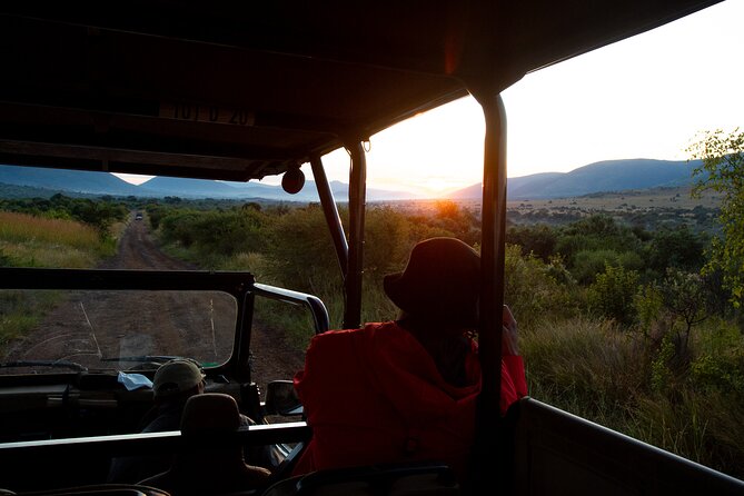 Full Day Pilanesberg Safari Adventure - Small Group Safari (Max 10): Less Noise, More Attention