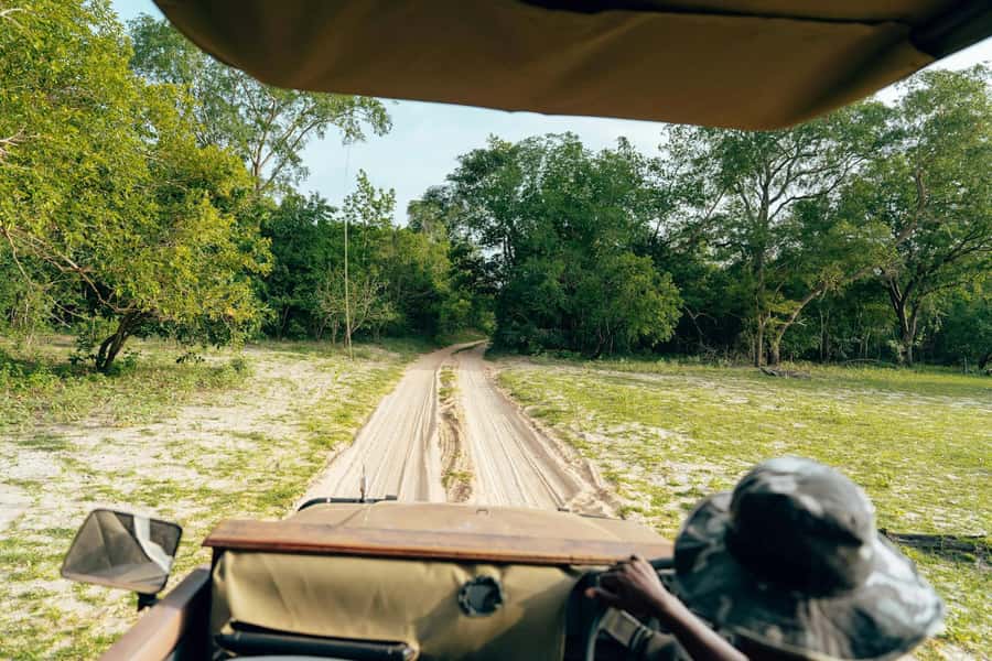 Full-Day Pilanesberg Safari from Sun City - Morning Game Drive: Your Best Shot at Big Sightings