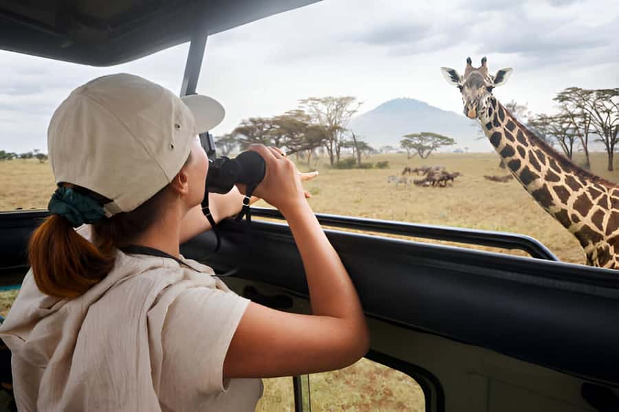 Full-Day Pilanesberg Safari from Sun City - Pickup, Vehicles, and the Small-Group Advantage
