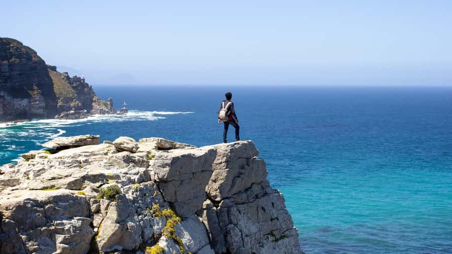 Full-Day Private: Best of the Cape - A Private Route Through Cape Towns Big Hits in 8 Hours
