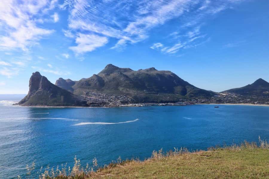 Full-Day Private: Best of the Cape - Simon’s Town Stop for Peninsula Texture and a Short Reset