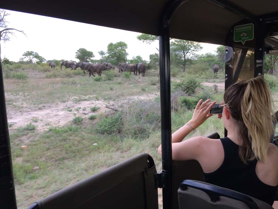 Full-Day Private Big 5 Safari in Kruger National Park - Morning Game Drive: Chasing Predators and Big 5 Clues