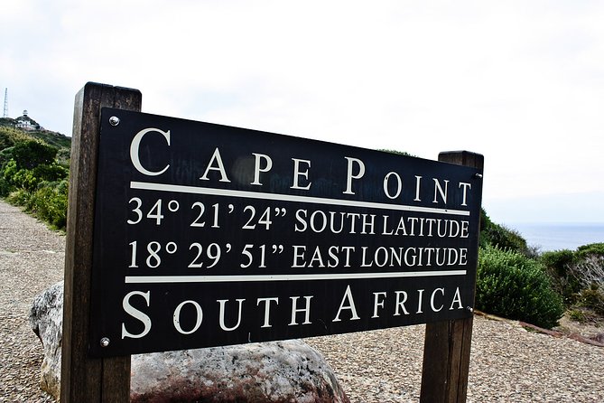 Full Day Private Cape Highlights - Cape Point, Good Hope, and Chapman’s Peak: where the day earns its keep