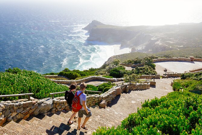 Full Day Private Cape Highlights - Who this tour suits best (and who should consider a different day)