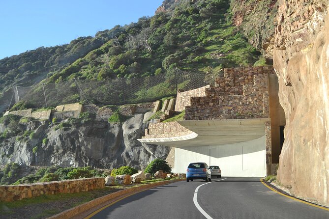 Full Day Private Cape Peninsula and Boulders Beach Tour - Chapman’s Peak Drive and Hout Bay: the road trip highlight