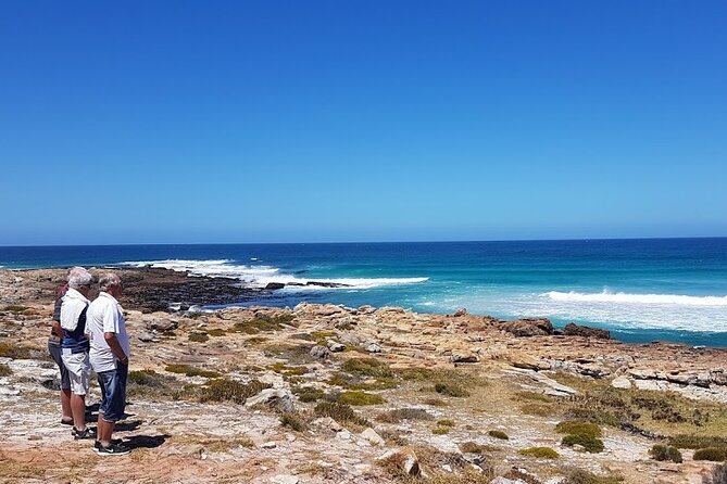 Full-Day Private Cape Peninsula Tour - Chapman’s Peak Drive Views Without the Rush