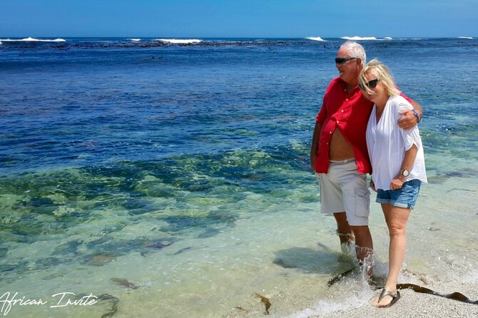 Full-Day Private Cape Peninsula Tour - Muizenberg, Noordhoek, and the Long Atlantic Stretches