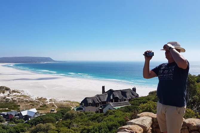 Full-Day Private Cape Peninsula Tour - Simon’s Town Charm, Jubilee Square, and the Just Nuisance Story
