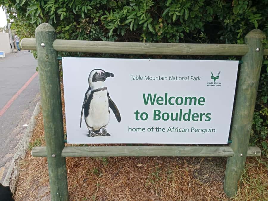 Full-Day Private Excursion: Cape of Good Hope and Penguins - Price and Logistics: Is $161 Good Value Here?