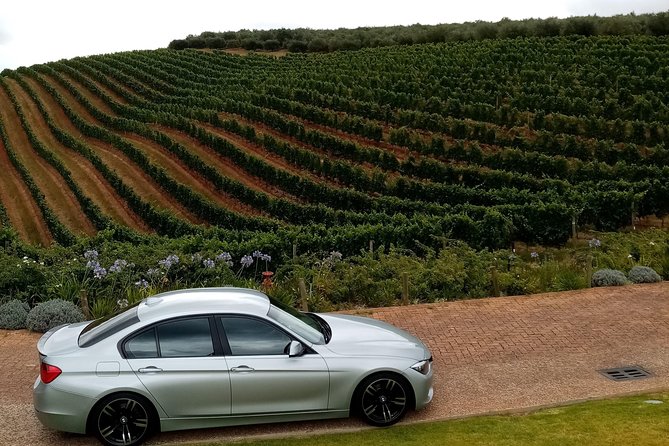 Full-Day Private Guided Wine Tasting Tour of Cape Wineries - A well-paced Cape Winelands day that starts with pickup