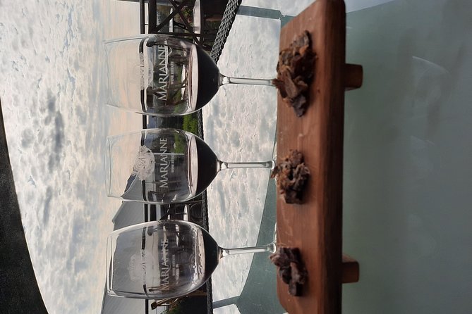 Full-Day Private Guided Wine Tasting Tour of Cape Wineries - Who this tour fits best (and who might want something else)