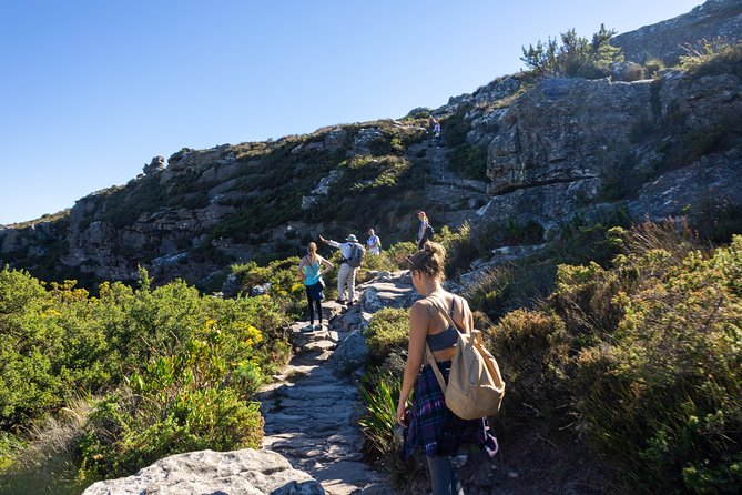Full Day Private Hiking Table Mountain & City - Starting point and timing: the 7:00 am advantage
