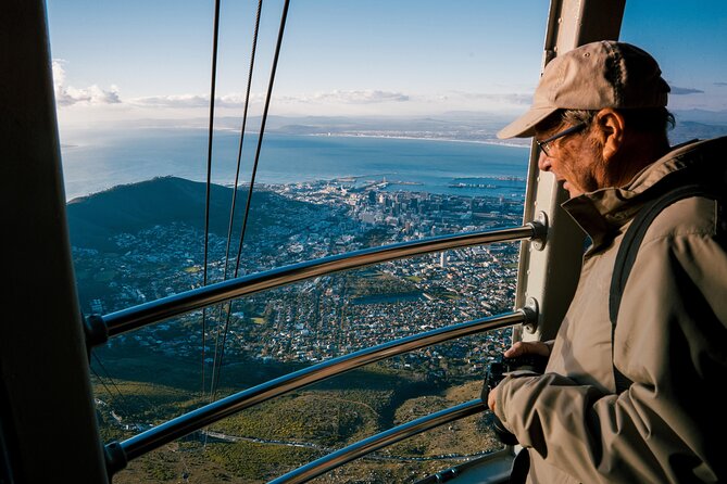 Full Day Private Hiking Table Mountain & City - Company Gardens: a short reset with real wildlife moments