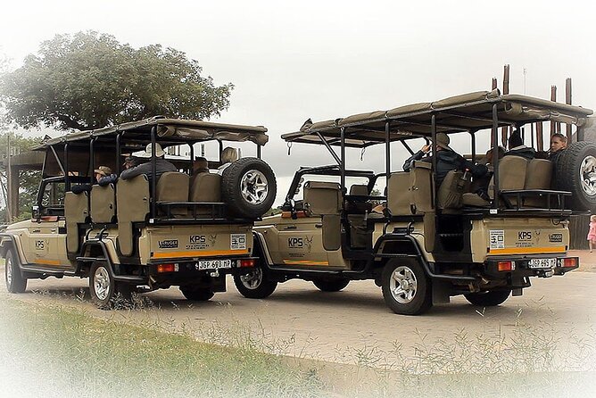 Full Day Private Kruger Park Safari - The smart reason for a 5:00 AM departure