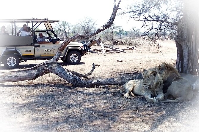 Full Day Private Kruger Park Safari - What you are actually paying for: included items and extra costs