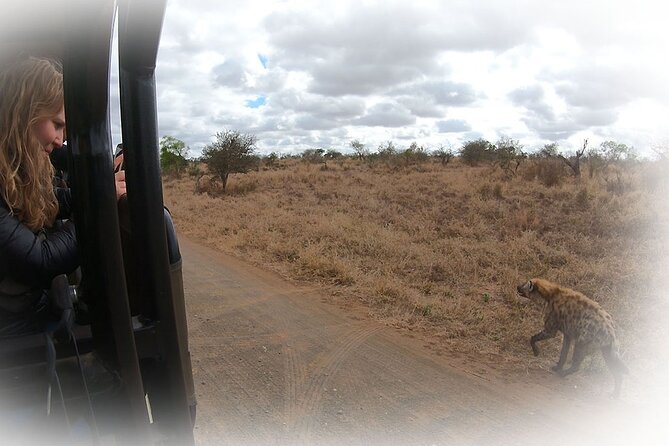 Full Day Private Kruger Park Safari - Private tour meaning: less waiting, more attention