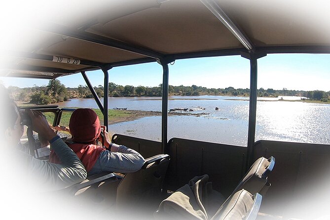 Full Day Private Kruger Park Safari - Wildlife chances: Big Five is the target, but the day is broader