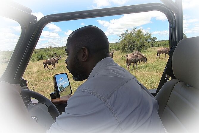 Full Day Private Kruger Park Safari - Practical tips so your day runs smoothly