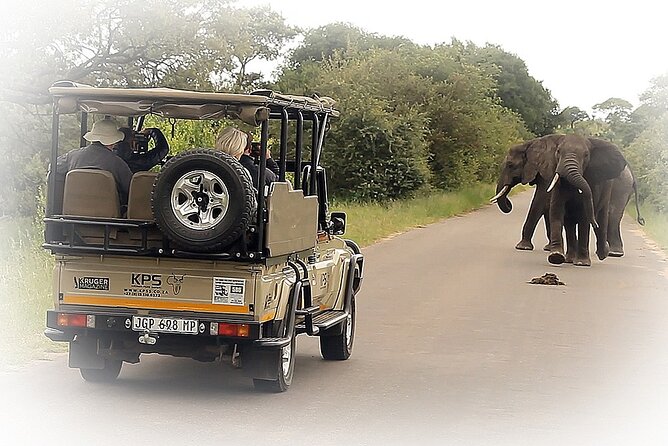 Full Day Private Kruger Park Safari - Open-top 4x4 viewing and a guide who actually reads the bush