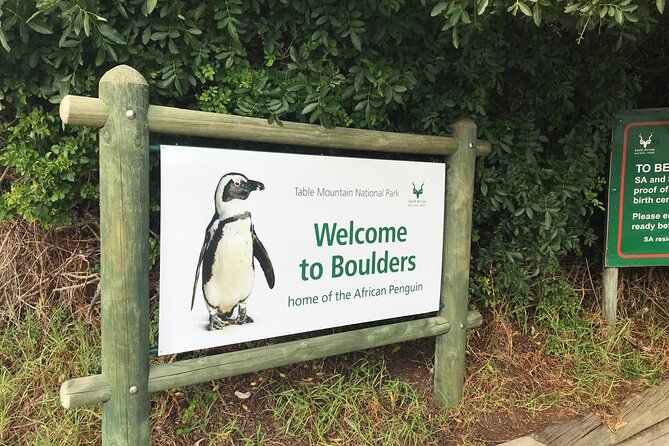 Full Day Private Tour of the Cape Peninsula and Boulders Penguins - Cape of Good Hope: where the walking trails feel like the main event
