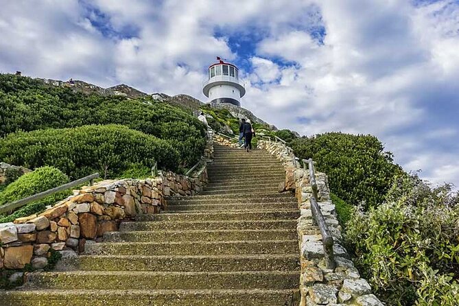 Full Day Private Tour of the Cape Peninsula and Boulders Penguins - Price and value: what $228.06 per person is really paying for
