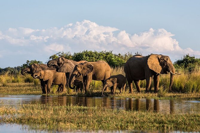 Full Day Safari From Durban to Hluhluwe-Imfolozi Game Reserve - Value and Pricing: What $193.10 Really Buys You