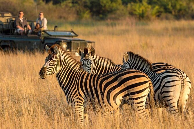 Full Day Safari From Durban to Hluhluwe-Imfolozi Game Reserve - Who This Tour Fits Best in 2026 Travel Plans