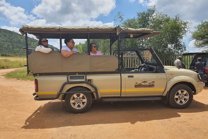 Full Day Safari from Johannesburg - Pilanesberg Nature Reserve - Inside the reserve: what a full-day safari actually feels like