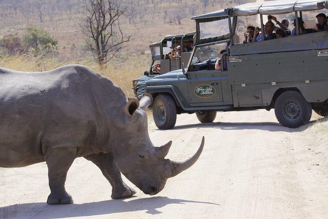 Full Day Safari in the Kruger National Park from Hazyview - Who This Safari Fits Best (and Who Should Rethink It)