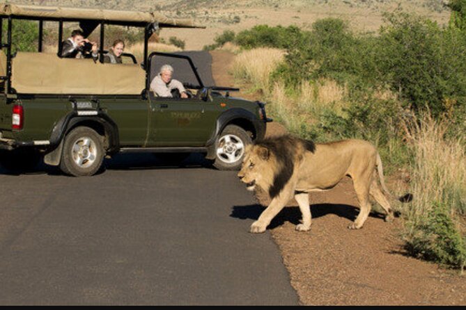 Full Day Safari Tour of Pilanesberg National Park, Open Jeep experience - Lunch, water, and comfort on an 11 to 12 hour day