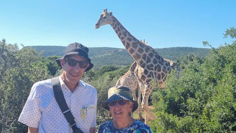 Full-Day Schotia Game Reserve & Giraffe Walk (Open 4x4) - Key things to know before you go