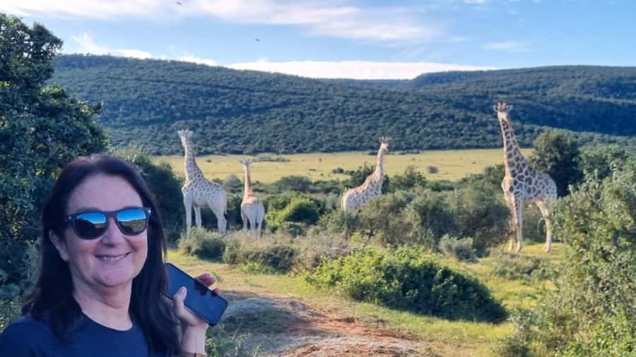 Full-Day Schotia Game Reserve & Giraffe Walk (Open 4x4) - The 4-hour Schotia game drive, Big Five odds and what your guide does with the view