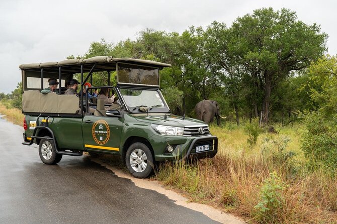 Full-Day Shared Kruger National Park Safari from Hoedspruit - What to bring and how to handle a 10-hour shared safari