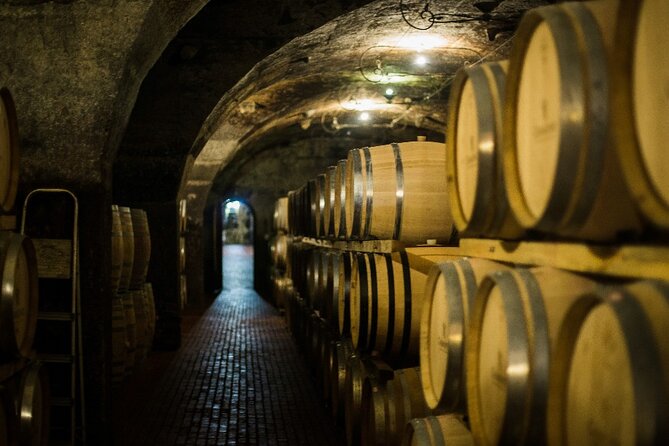 Full Day Small Group Wine Tour Cape Town and Stellenbosch - Cape Town Pickup and an 8 to 10 Hour Schedule